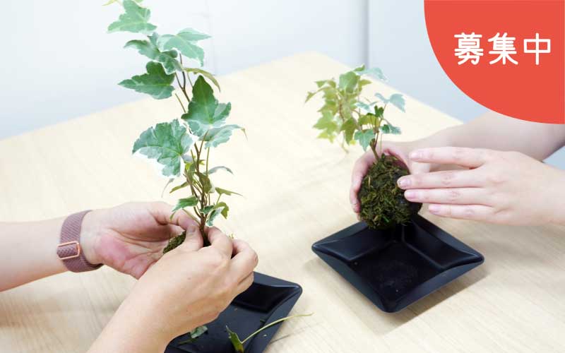 令和8年度前期 認知症家族のための「心のケア講座」<br>(5月12日～ 火曜日/全4回)